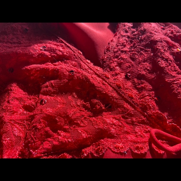 🌹 Cinema Etoile, Vintage Valentine’s Nightgown - Picture 9 of 16